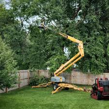 Lawn Grading and Leveling in Kentland, IN